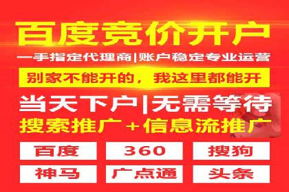 SEM优化师成功案例：助力企业实现品牌升级